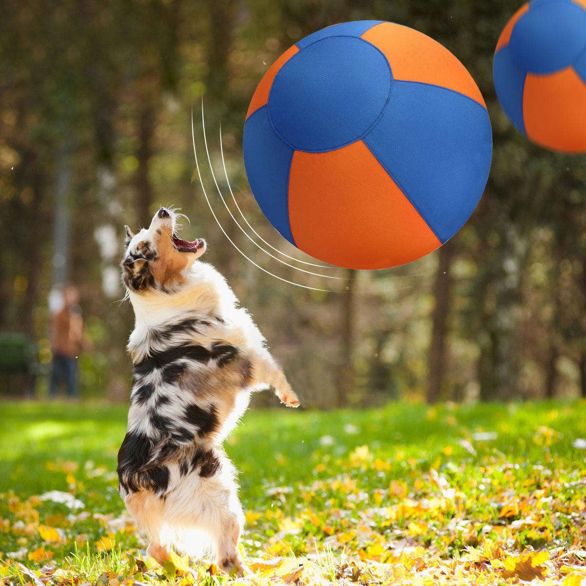HerdCore™ Ball